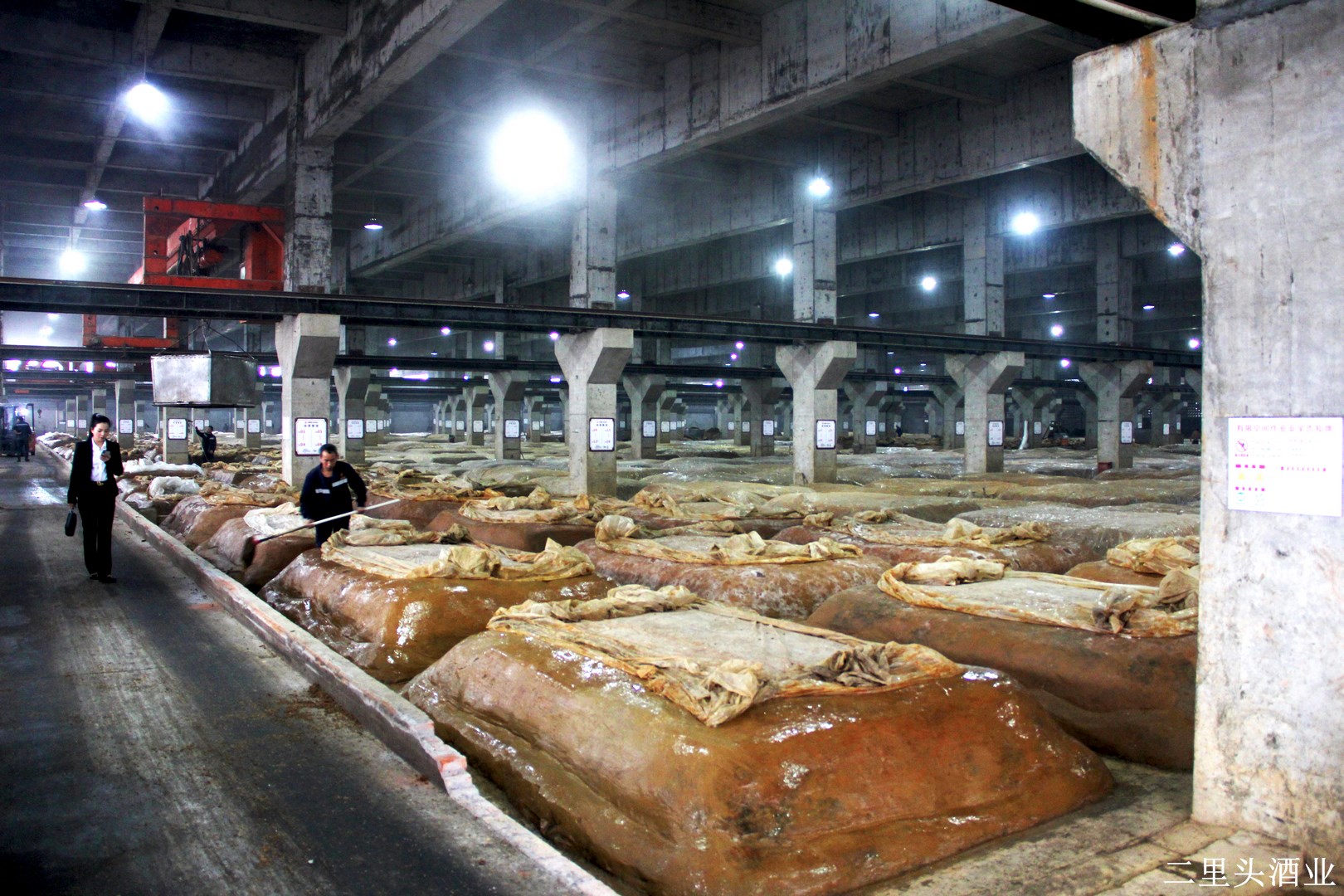 二里頭酒業(yè) (18)